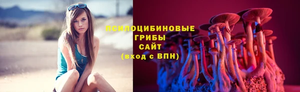 ПСИЛОЦИБИНОВЫЕ ГРИБЫ Алзамай
