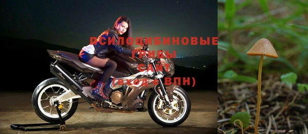 СК Алексеевка