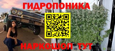 тгк Кулебаки