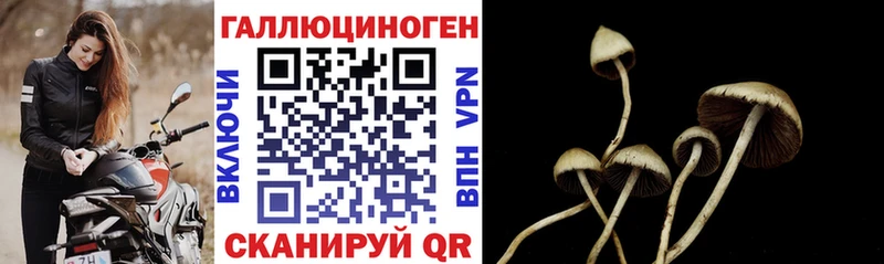 Псилоцибиновые грибы мухоморы  Раменское 