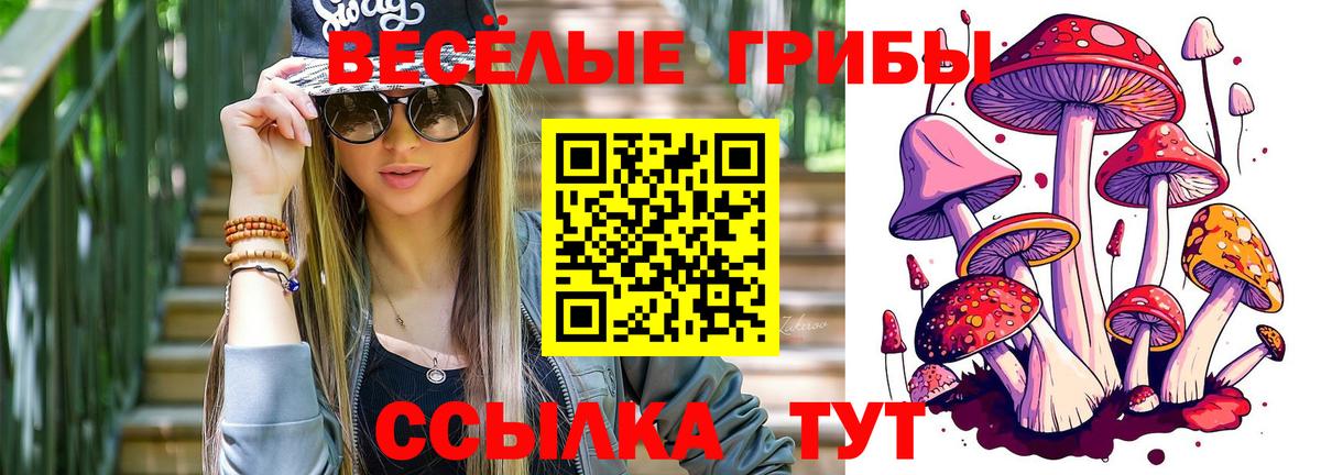 Раменское  Галлюциногенные грибы ЛСД  Вход с VPN 